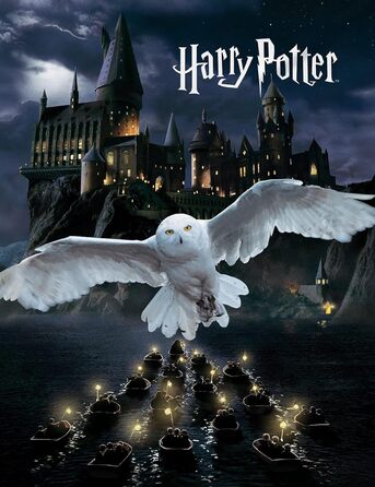 М'який плед Harry Potter з флісу 150x200 см, чорний, з Хогвартсом і совою – ковдра для дивана, покривало
