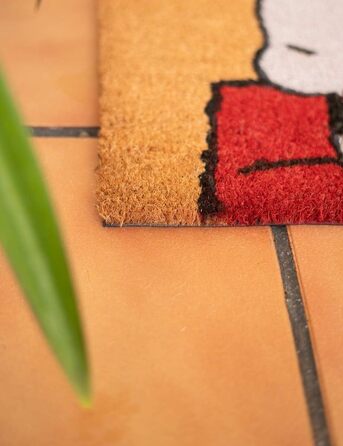 Килимок для взуття Grupo Erik Peanuts Snoopy 40x60 см, грязезахисний