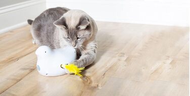 PetSafe інтерактивна іграшка для котів Peek-a-Bird з таймером, працює на 3 AA батарейках