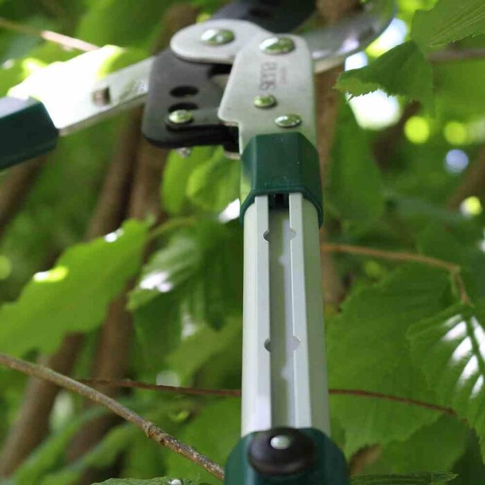 Секатор наковаленний телескопічний Siena Garden Pro Alu, 358328
