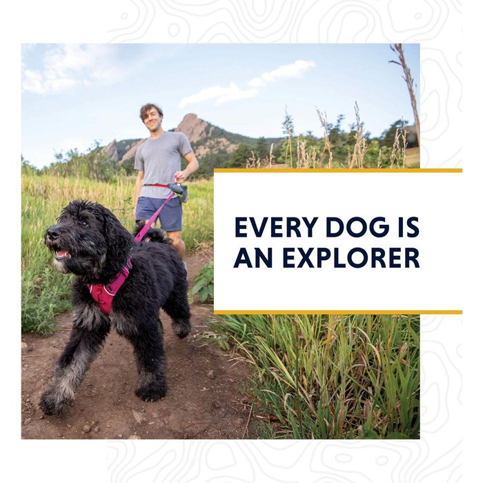 Нашийник для собак RUFFWEAR Crag, світловідбивний, зручний, для щоденного використання, зелений, 51–66 см