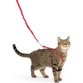 Шлея для кішок PetSafe Come with Me Kitty з еластичним повідцем, розмір M, червоний/клюква