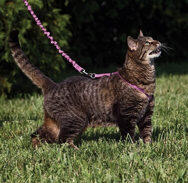 Шлея та еластичний повідець для котів PetSafe Come with Me Kitty, розмір M, червоний/кранбері