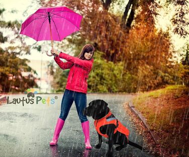 Дощовик для собак Lautus Pets, водонепроникний, з відбивачами, зі світлим дизайном і отвором для шлеї, помаранчевий, розмір 2XL