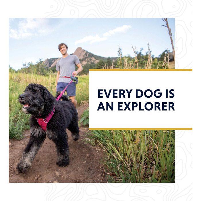 Нашийник для собак RUFFWEAR Web Reaction, синій, 28-36 см