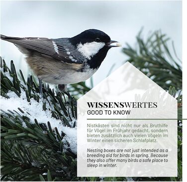 Дерев'яний будиночок для птахів WILDLIFE HOME Amsel, напіввідкритий, масивне дерево, для дроздів, малинівок, напівпечерних птахів, нефарбований, для підвішування, стійкий до погодних умов