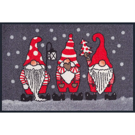 Килимок wash+dry Winterzwerge 50x75 см для передпокою та вулиці, миючийся, протиковзкий