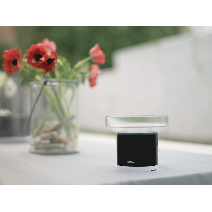 Датчик дощу Netatmo NRG01-WW для бездротової метеостанції