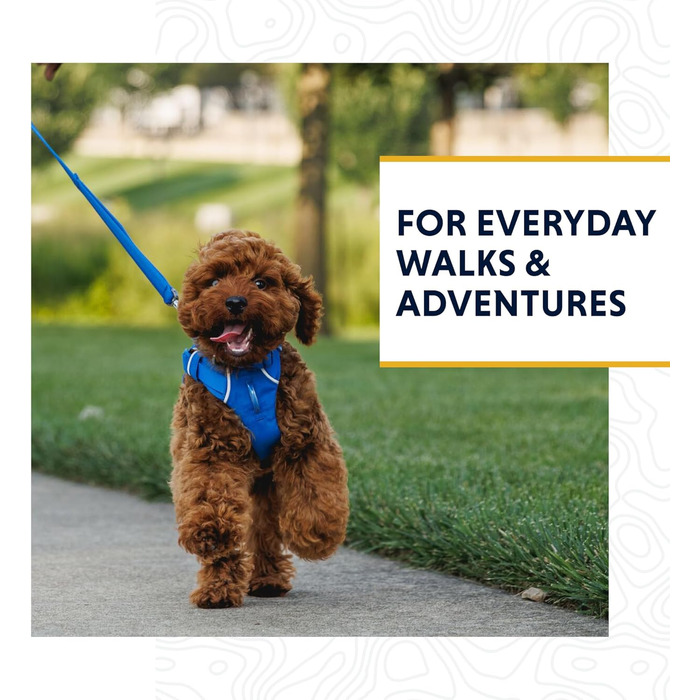 Повідок для собак RUFFWEAR Front-Leine 1,5 м, легкий, міцний, з м’якою ручкою та обертальним карабіном, плоский ремінь Tubelok, Moonlight Fade