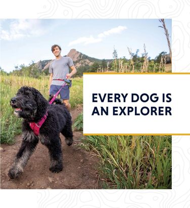 Нашийник для собак RUFFWEAR Crag, світловідбивний, зручний, для щоденного використання, зелений, 51–66 см