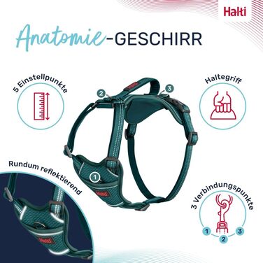 Шлея для собак HALTI Anatomy з ручкою, нейлонова, регульована, з неопреною підкладкою, 3 точки кріплення повідка, відбивачі, синьо-зелена, розмір L