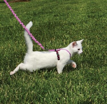 Шлея з еластичним повідком для котів PetSafe Come with Me Kitty, розмір M, червоний/клюквений