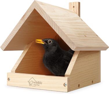 Дерев'яний будиночок для птахів WILDLIFE HOME Amsel, напіввідкритий, масивне дерево, для дроздів, малинівок, напівпечерних птахів, нефарбований, для підвішування, стійкий до погодних умов