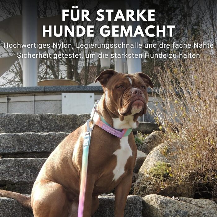 Тактичний нашийник для собак Spark Paws, міцний, преміум-якість, 5 см, для середніх і великих порід, пастельний колір, розмір M (23-39 кг)