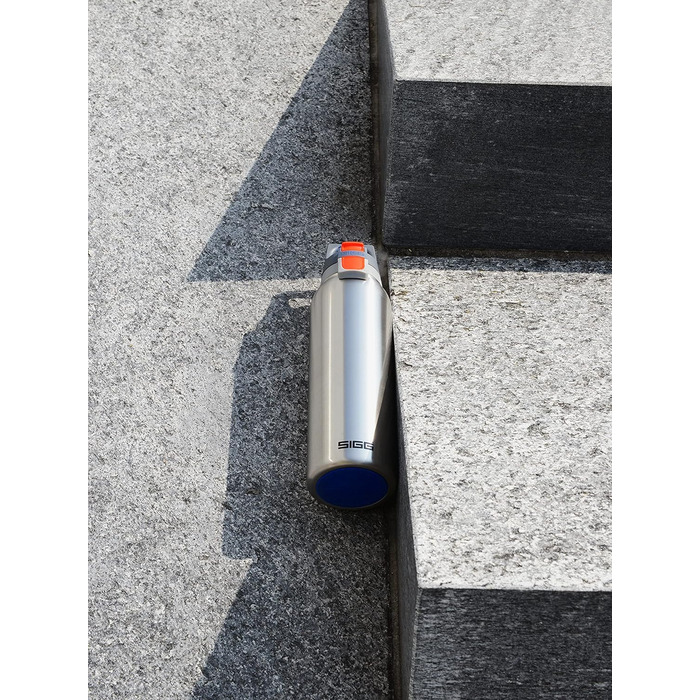 Термос-бутилка SIGG Hot & Cold One з ситечком для чаю, 0,55 л, нержавіюча сталь 18/8, ізольована, герметична, BPA-free
