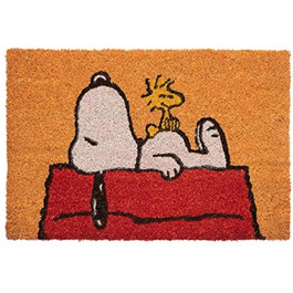 Килимок для взуття Grupo Erik Peanuts Snoopy 40x60 см, грязезахисний