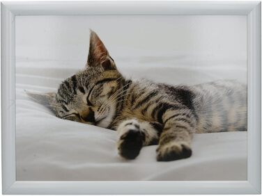 Лаптопний столик-піднос з подушкою Creative Tops Kitten, 44x34 см, мультиколор, м'який наповнювач