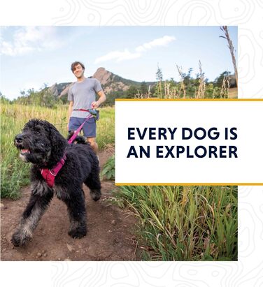 Нашийник для собак RUFFWEAR Web Reaction, синій, 28-36 см