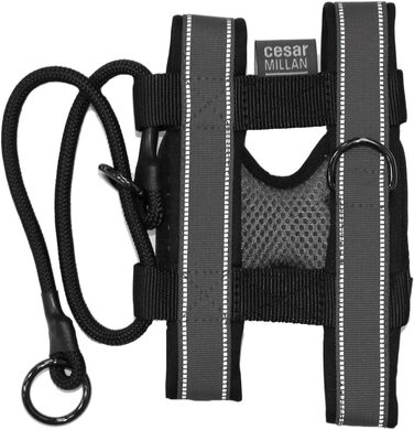 Нашийник для дресирування собак Pack Leader Collar™ від Сезара Міллана, сірий, розмір L, середній