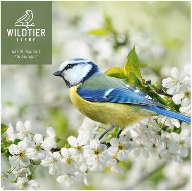 Диспенсер для корму птахів wildtier liebe, 35 см, сріблястий, нержавіюча сталь — годівниця-силос для диких птахів, для всесезонної підгодівлі
