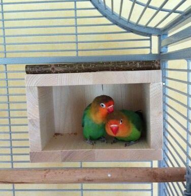 Дерев'яний будиночок для птахів Vogelgaleria® – спальне місце та укриття для хвилястих папуг, неразлучників, корелл, аксесуар для клітки та вольєра
