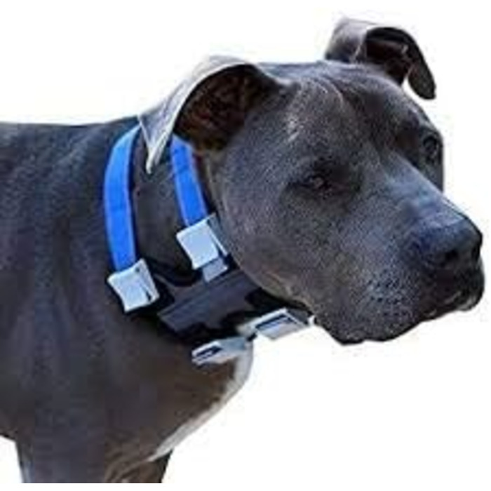 Нашийник для дресирування собак Pack Leader Collar™ від Сезара Міллана, середній, сірий