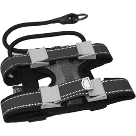 Нашийник для дресирування собак Pack Leader Collar™ від Сезара Міллана, середній, сірий