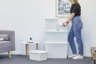 Набір пластикових боксів для зберігання Iris Ohyama 3 шт., 11 л, білі, з кришкою, для організації в шафі, класі, для взуття та рукоділля, міцні, штабельовані