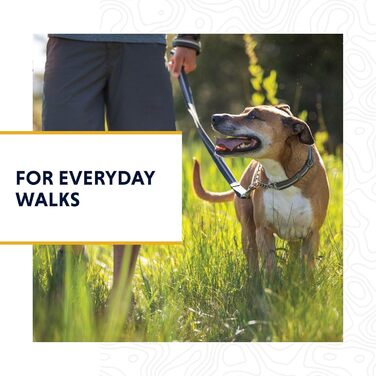 Ruffwear Chain Reaction регульований нашийник для собак, металевий ланцюжок
