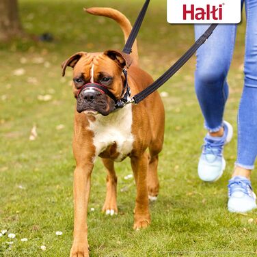 Антизапряжний нашийник-поводок HALTI Optifit для середніх собак, з м'якою підкладкою, регульований, проти ривків, легкий