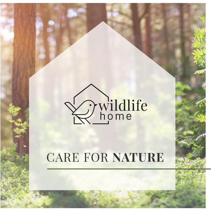 Дерев'яний будиночок для птахів WILDLIFE HOME Amsel, напіввідкритий, масивне дерево, для дроздів, малинівок, напівпечерних птахів, нефарбований, для підвішування, стійкий до погодних умов