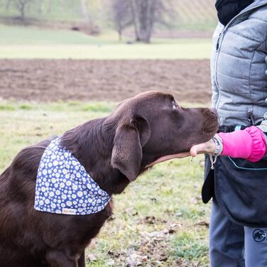 Pettsie нашийник для собак з банданою та браслетом дружби, регульований, міцний, розмір L (45,7-66 см), темно-синій, стильний подарунок для власників собак