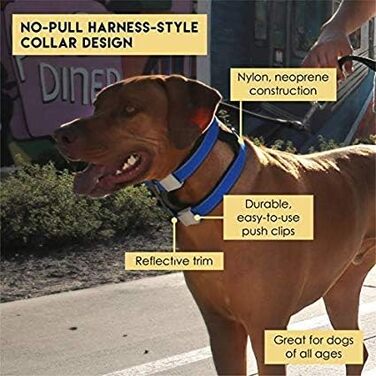 Нашийник для дресирування собак Pack Leader Collar™ від Сезара Міллана, середній, сірий