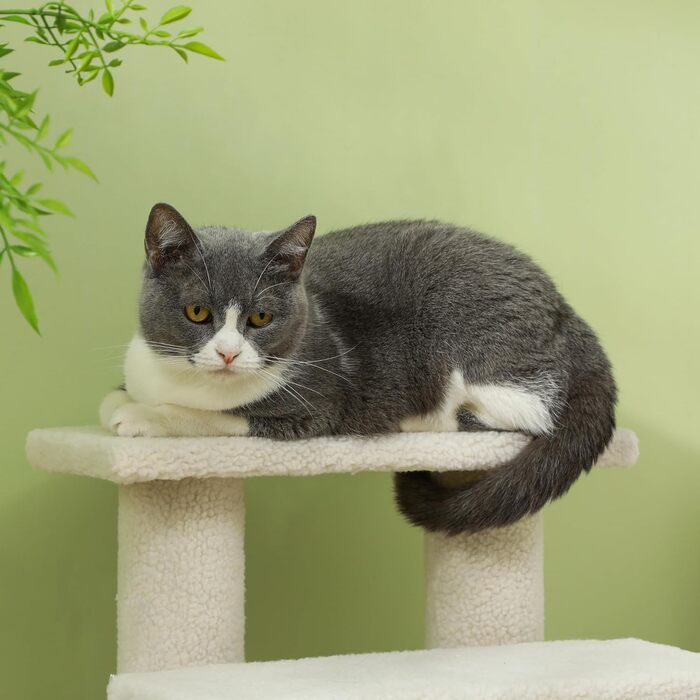 Сходи для котів і собак PawHut, 4 ступені, кремові, 63,5x43x60 см