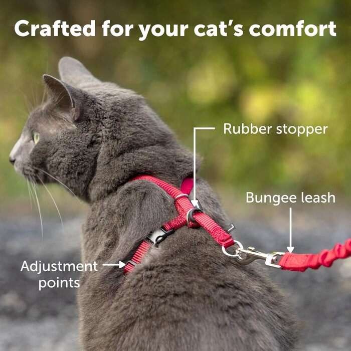 Шлея для кішок PetSafe Come with Me Kitty з еластичним повідцем, розмір M, червоний/клюква