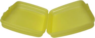 Коробка для сендвічів Tupperware бірюза/гроші на школу