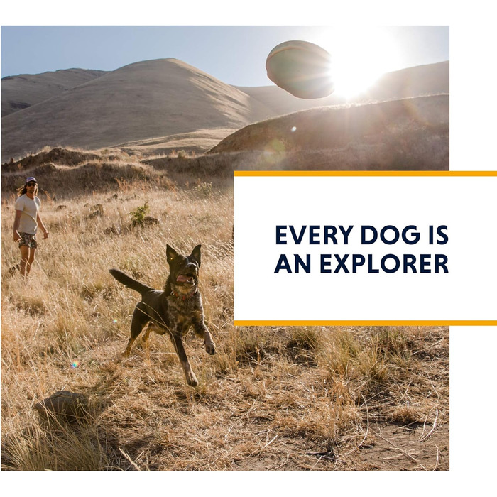 Повідок для собак RUFFWEAR Flat Out Wildflower Horizon, міцний нейлон, регульований