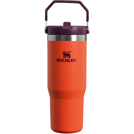 Термос-кружка Stanley Flip Straw 0.89 л з трубочкою, спортивна пляшка з нержавіючої сталі, BPA Free, зберігає холод 12+ годин, для води та напоїв, миється в посудомийній машині, Tigerlily Plum