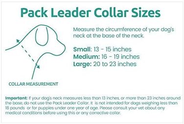 Нашийник для дресирування собак Pack Leader Collar™ від Сезара Міллана, середній, сірий