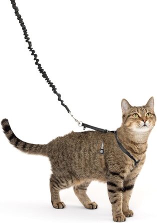 Шлейка з еластичним повідцем PetSafe Come with Me Kitty для котів, розмір M, червоно-клюквений