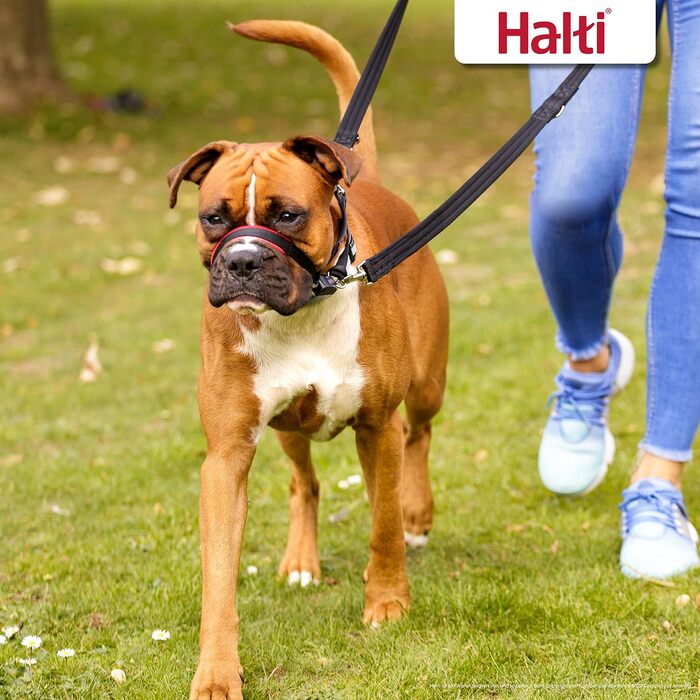 Антизапряжний нашийник-поводок HALTI Optifit для середніх собак, з м'якою підкладкою, регульований, проти ривків, легкий