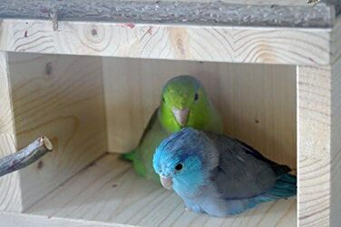 Дерев'яний будиночок для птахів Vogelgaleria® – спальне місце та укриття для хвилястих папуг, неразлучників, корелл, аксесуар для клітки та вольєра