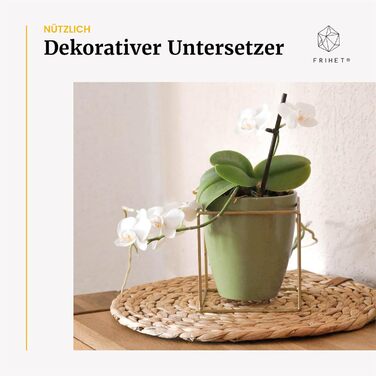 FRIHET® комплект круглих підставок для столу Oslo з водяної гіацинти, натуральний, 6 шт, 33 см