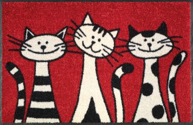 Килимок wash+dry для підлоги Three Cats 50x75 см, для дому та вулиці, праний