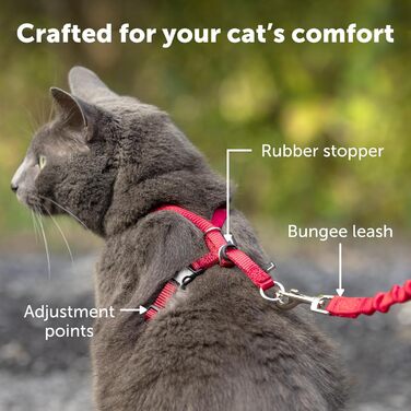 Шлея для кішок PetSafe Come with Me Kitty з еластичним повідцем, розмір M, червоний/клюква