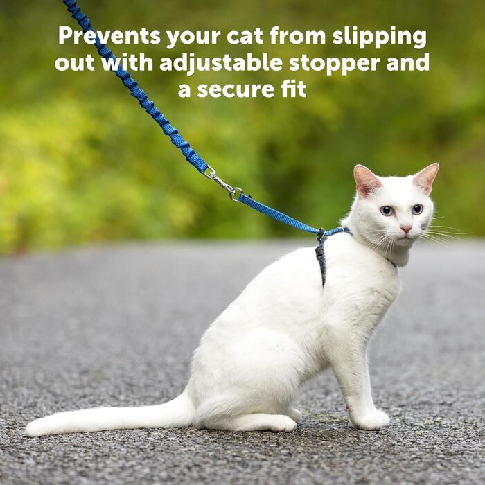 Шлея для кішок PetSafe Come with Me Kitty з еластичним повідцем, розмір M, червоний/клюква