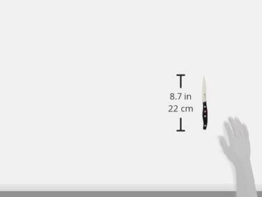 Ніж для нарізання та очищення ZWILLING Twin Pollux, 10 см, нержавіюча сталь, пластиковий руків'я, чорний