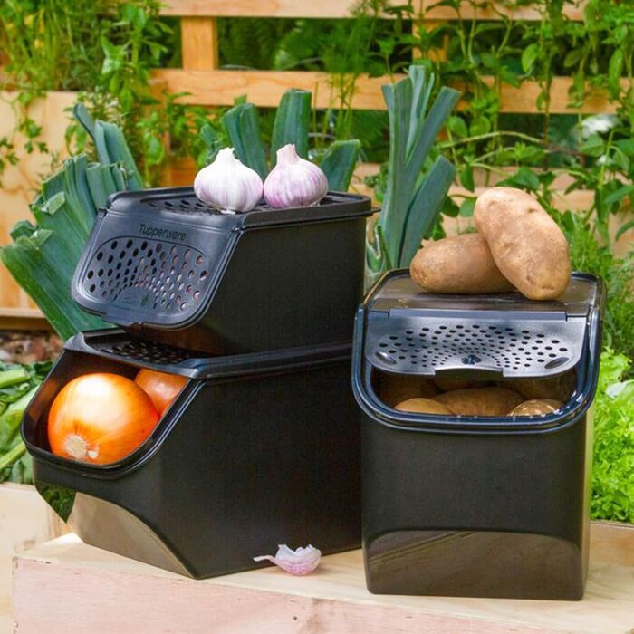 Набір контейнерів Tupperware для картоплі, цибулі та часнику PotatoSmart 8,3 л, OnionSmart 5,5 л, GarlicSmart 2,3 л — інноваційні контейнери для зберігання овочів з оптимальною вентиляцією, штабельовані, для посудомийної машини