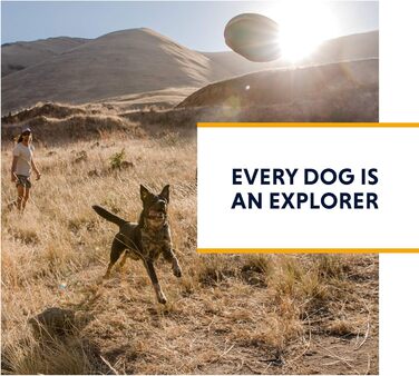 Повідок для собак RUFFWEAR Flat Out Wildflower Horizon, міцний нейлон, регульований