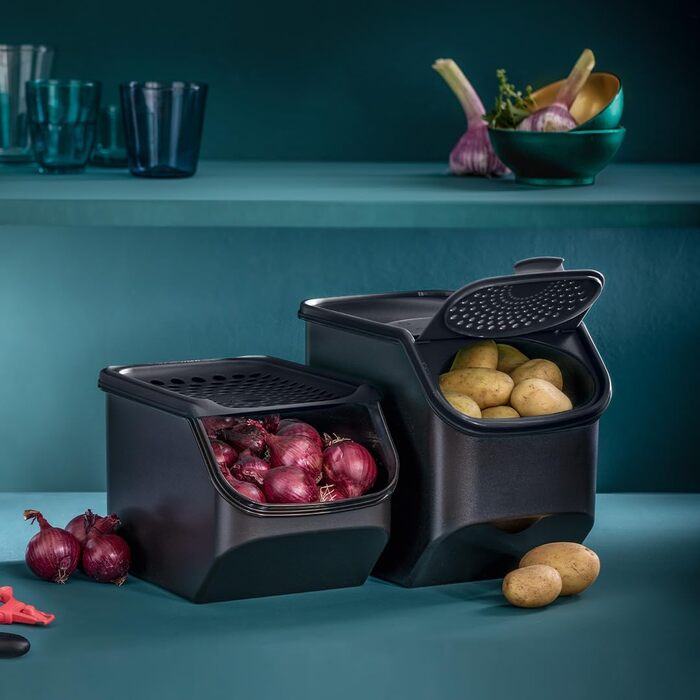 Набір контейнерів Tupperware для картоплі, цибулі та часнику PotatoSmart 8,3 л, OnionSmart 5,5 л, GarlicSmart 2,3 л — інноваційні контейнери для зберігання овочів з оптимальною вентиляцією, штабельовані, для посудомийної машини